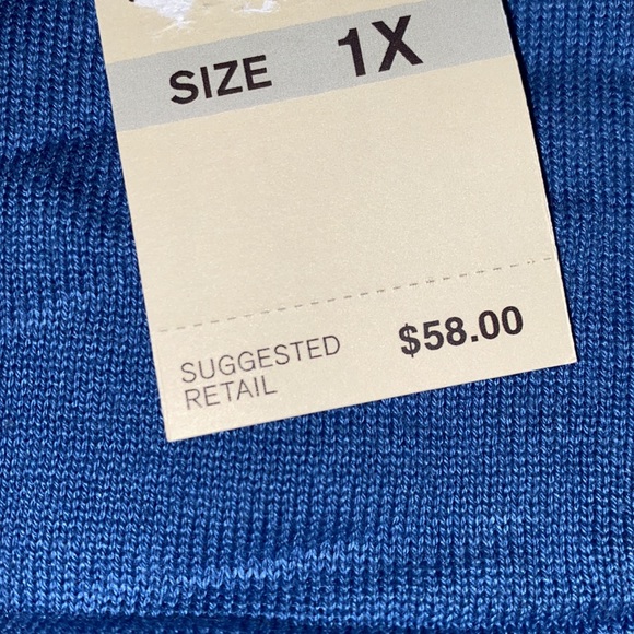 🆕Emaline Woman Size 1X blue sweater - Picture 4 of 5